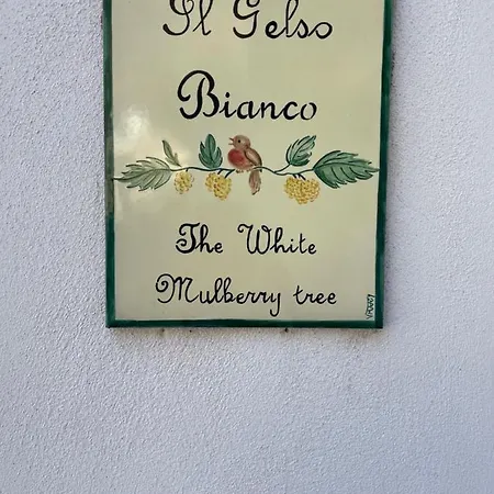 Il Gelso Bianco -the White Mulberry Tree * Ravello